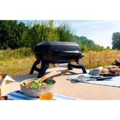 Napoleon Gasgrill TRAVELQ 240 30 Napoleon Gasgrill TRAVELQ 240 -Optimal Grill Geschäft Napoleon Gasgrill TRAVELQ 240@@1872821 13