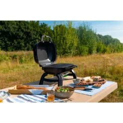 Napoleon Gasgrill TRAVELQ 240 33 Napoleon Gasgrill TRAVELQ 240 -Optimal Grill Geschäft Napoleon Gasgrill TRAVELQ 240@@1872821 16