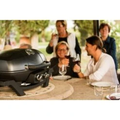 Napoleon Gasgrill TravelQ PRO285 32 Napoleon Gasgrill TravelQ PRO285 -Optimal Grill Geschäft Napoleon Gasgrill TravelQ PRO285@@9ggfen0o 15