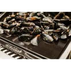 Napoleon Gusseisen-Plancha, Grillplatte 15 Napoleon Gusseisen-Plancha, Grillplatte -Optimal Grill Geschäft Napoleon Gusseisen Plancha Grillplatte@@9ggzzn0s 6