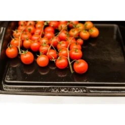 Napoleon Gusseisen-Plancha, Grillplatte 16 Napoleon Gusseisen-Plancha, Grillplatte -Optimal Grill Geschäft Napoleon Gusseisen Plancha Grillplatte@@9ggzzn0s 7