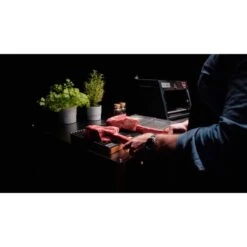 Otto Wilde Grillers O.F.B. Lite, Gasgrill 29 Otto Wilde Grillers O.F.B. Lite, Gasgrill -Optimal Grill Geschäft Otto Wilde Grillers O F B Lite Gasgrill@@9ggeeo02 11