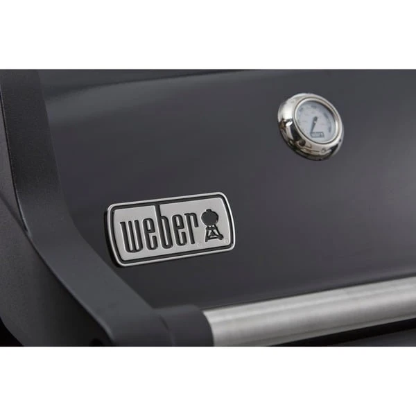Weber Gasgrill Spirit E-215 GBS Black 9 Weber Gasgrill Spirit E-215 GBS Black – Bild 9