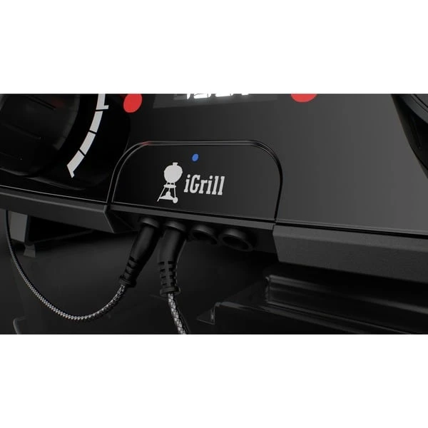 Weber Kontrolleinheit Für Pulse 2000, Ersatzteil 2 Weber Kontrolleinheit Für Pulse 2000, Ersatzteil – Bild 2