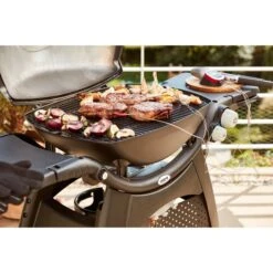 Weber IGrill Pro Messfühler Für Grillgut, Thermometer -Optimal Grill Geschäft Weber iGrill Pro Messf hler f r Grillgut Thermometer@@1303168 12