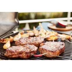 Weber IGrill Pro Messfühler Für Grillgut, Thermometer -Optimal Grill Geschäft Weber iGrill Pro Messf hler f r Grillgut Thermometer@@1303168 13