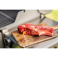 Weber IGrill Pro Messfühler Für Grillgut, Thermometer -Optimal Grill Geschäft Weber iGrill Pro Messf hler f r Grillgut Thermometer@@1303168 8